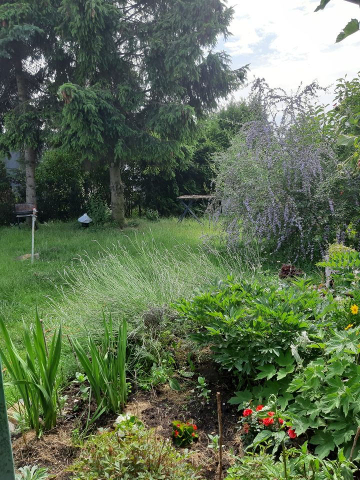 Działka rod Poznań Smochowice, ul. Wichrowa. Zdjęcie 5