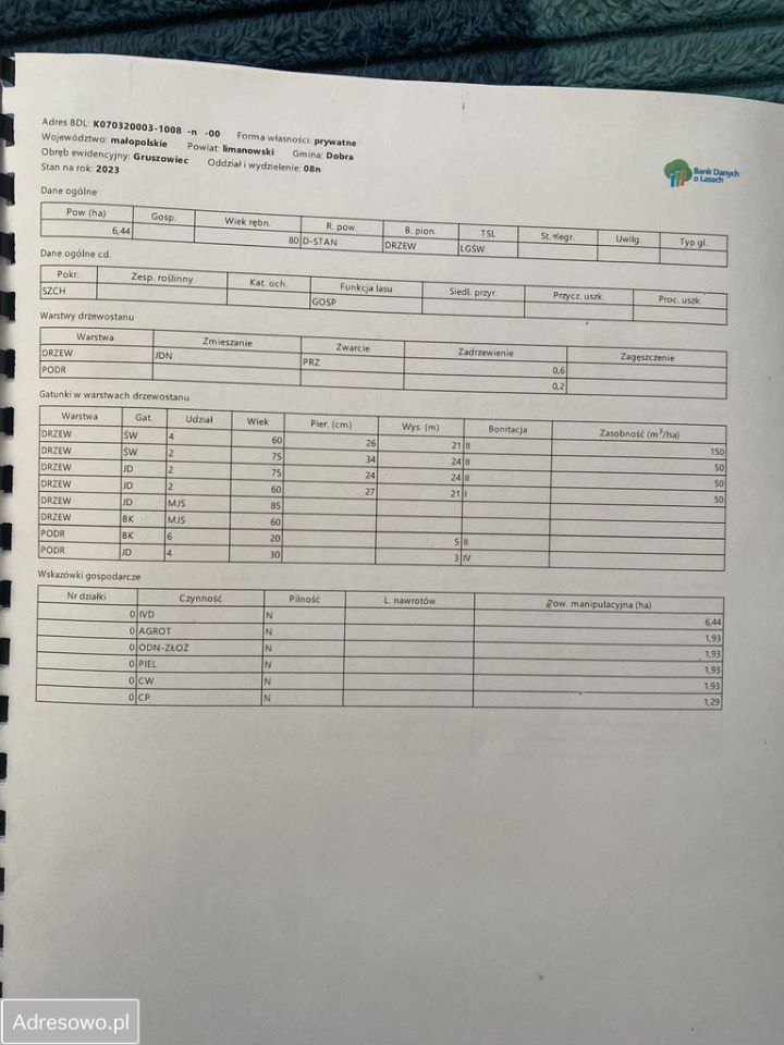 Działka leśna Gruszowiec. Zdjęcie 6