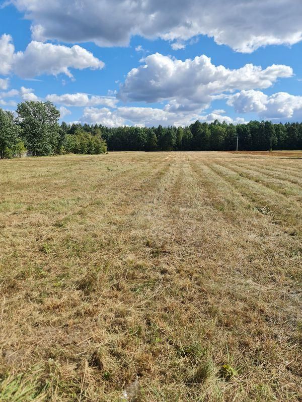 Działka budowlana Dąbrowa Jastrzębska. Zdjęcie 3