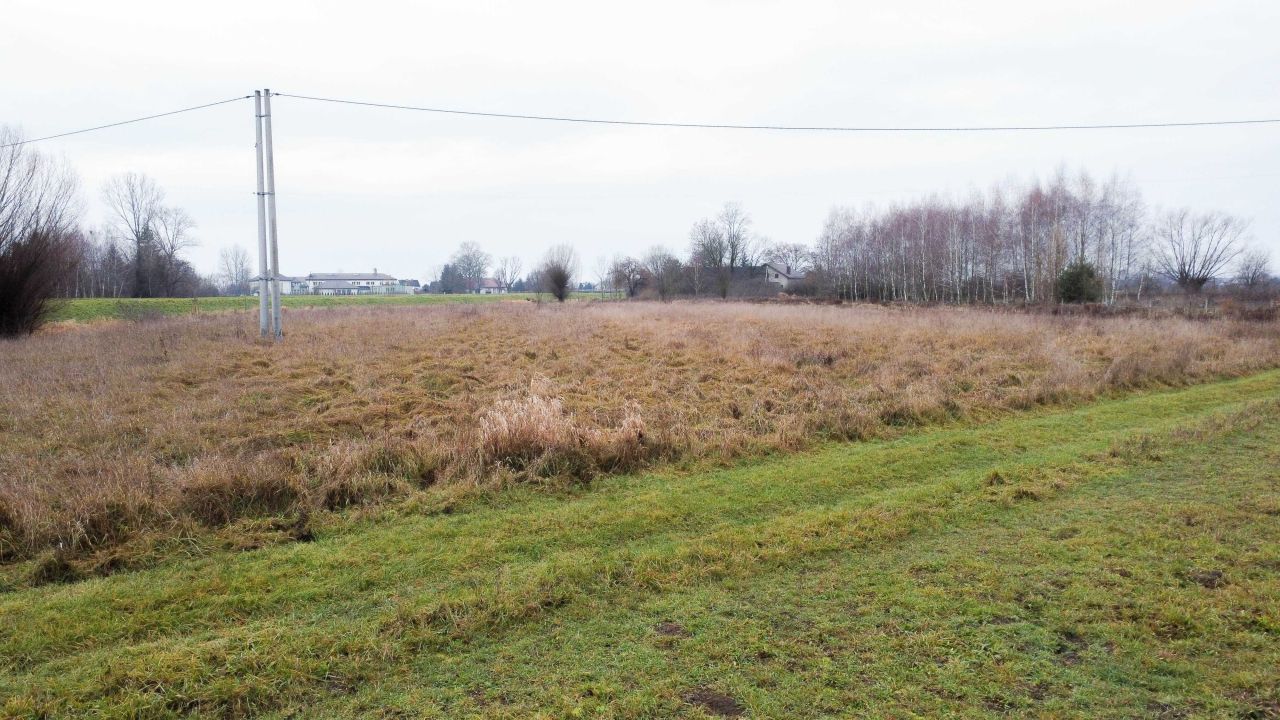 Działka rolna Bogucice. Zdjęcie 4