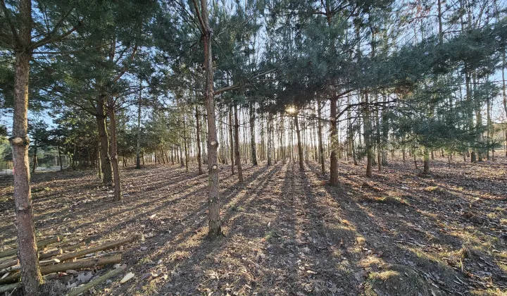 Działka budowlana Łukawska Wola