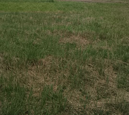 Działka budowlana Podłęcze. Zdjęcie 3