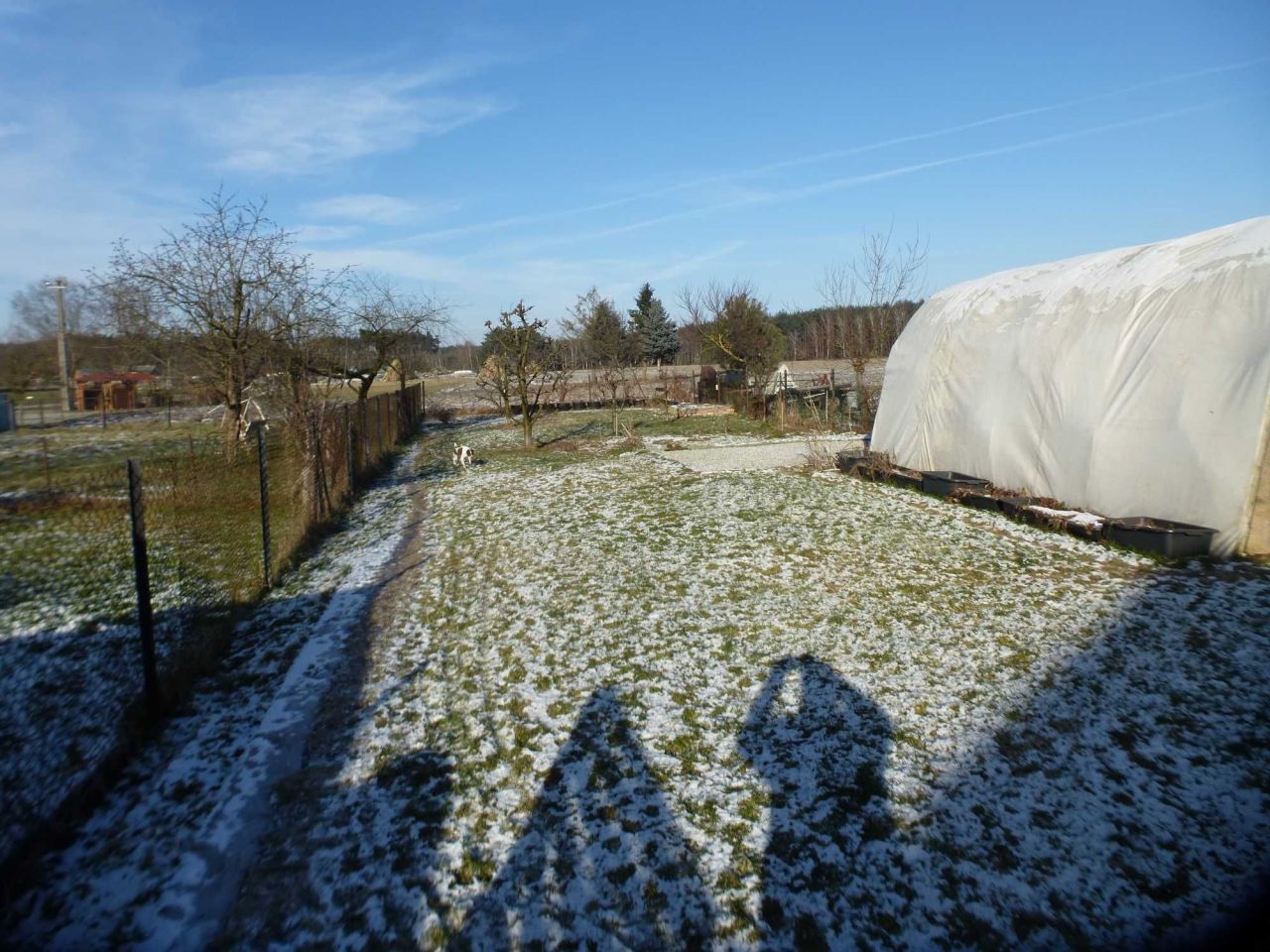 dom wolnostojący, 4 pokoje Łomnica. Zdjęcie 4