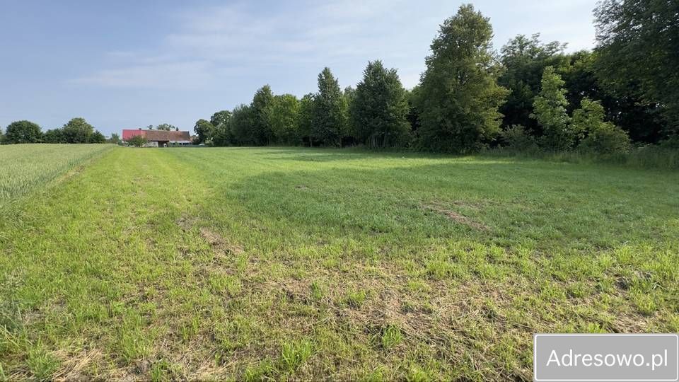 Działka budowlana Tułodziad. Zdjęcie 6