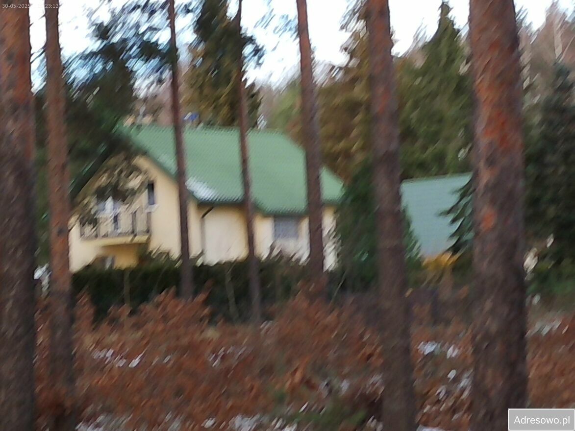 Działka leśna Marynino. Zdjęcie 15