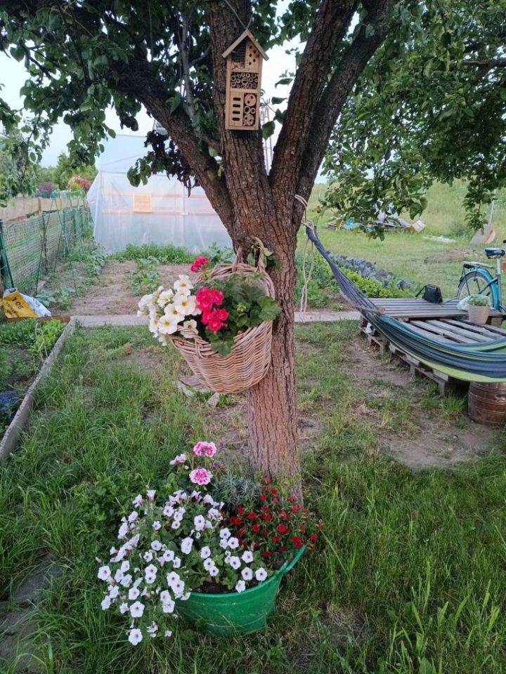 Działka rod Stalowa Wola. Zdjęcie 2