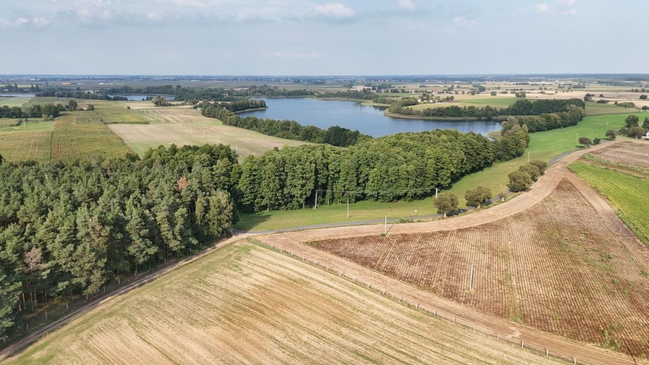 Działka rolna Ostrowite Prymasowskie Raszewo. Zdjęcie 1