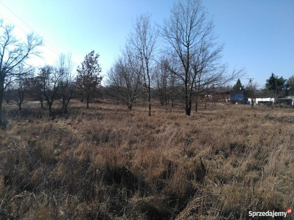 Działka budowlana Żyrardów, ul. Akacjowa. Zdjęcie 6