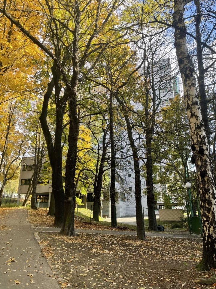 Mieszkanie 3-pokojowe Katowice Wełnowiec. Zdjęcie 5