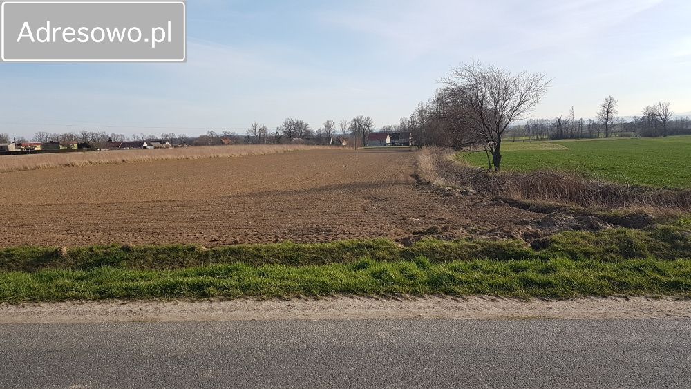 Działka rolna Morawa. Zdjęcie 6