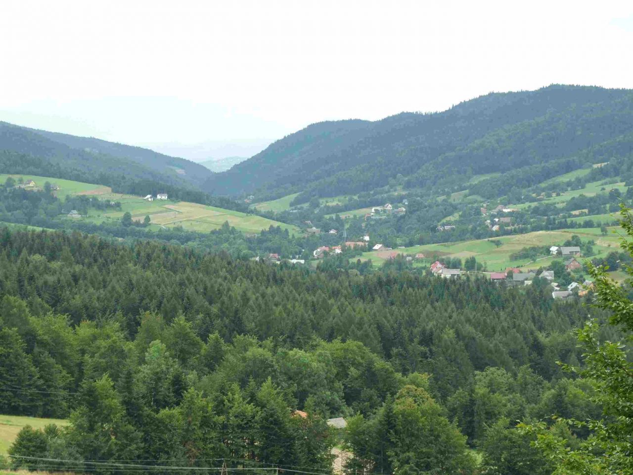 Działka rolno-budowlana Stara Wieś. Zdjęcie 2