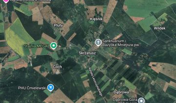 bliźniak Skrzatusz