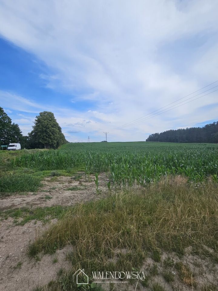 Działka leśna Pasieka. Zdjęcie 3