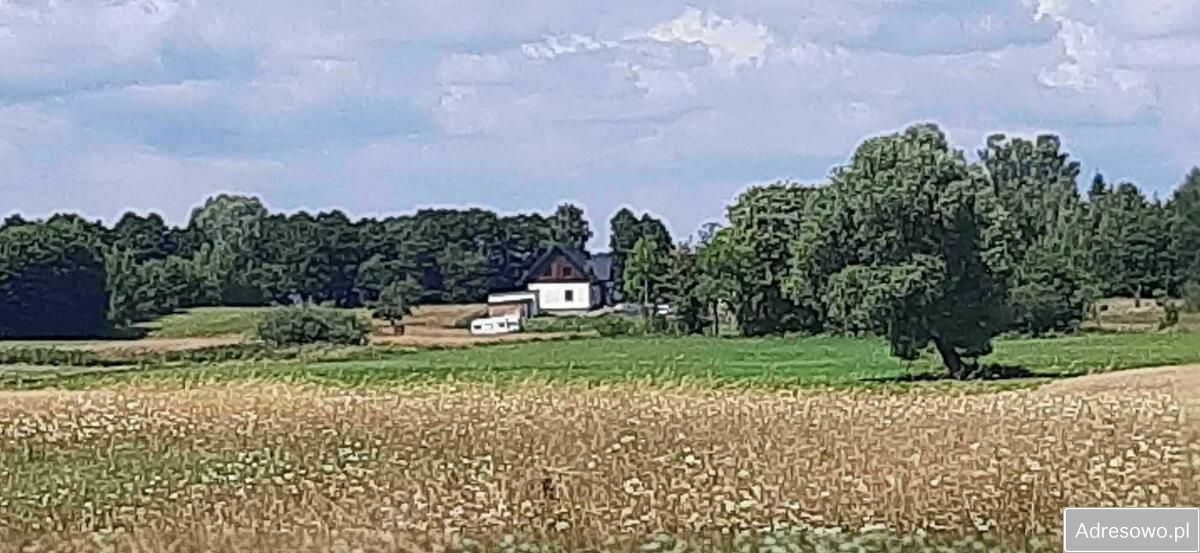 Działka rolna Zdory. Zdjęcie 6