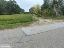 Działka rolno-budowlana Krajkowo. Zdjęcie 1