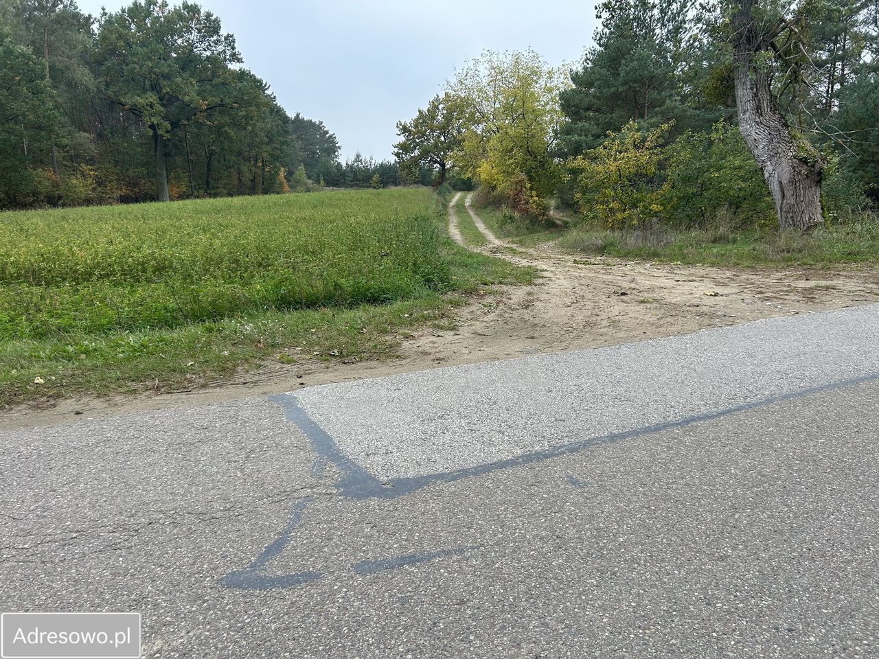 Działka rolno-budowlana Krajkowo. Zdjęcie 2