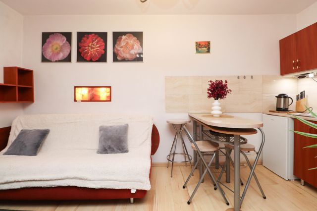 Mieszkanie 1-pokojowe Kraków Salwator, ul. rtm. Zbigniewa Dunin-Wąsowicza. Zdjęcie 6