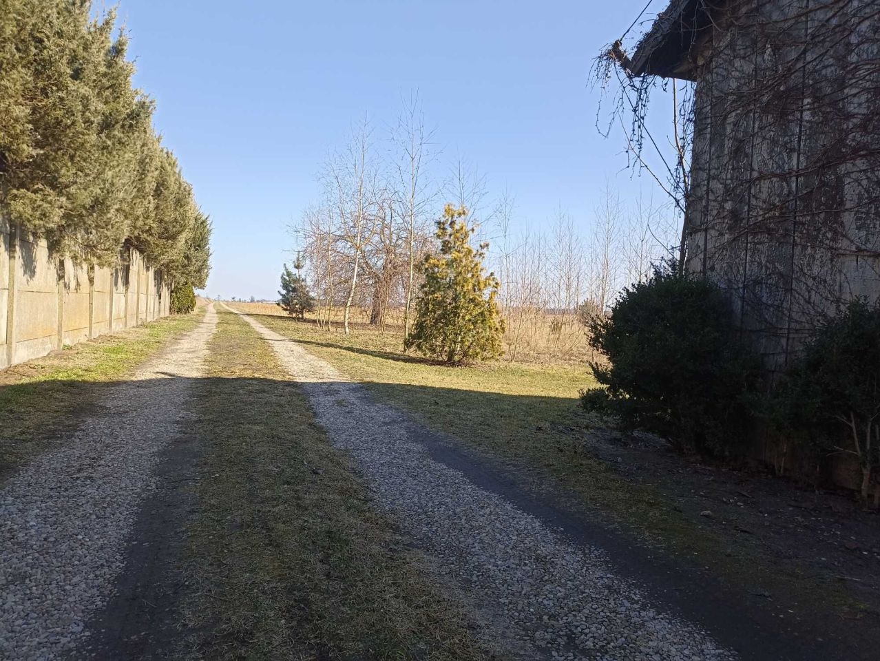 Działka rolna Karnków. Zdjęcie 2