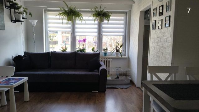 Mieszkanie 2-pokojowe Dębica, ul. Kościuszki. Zdjęcie 1