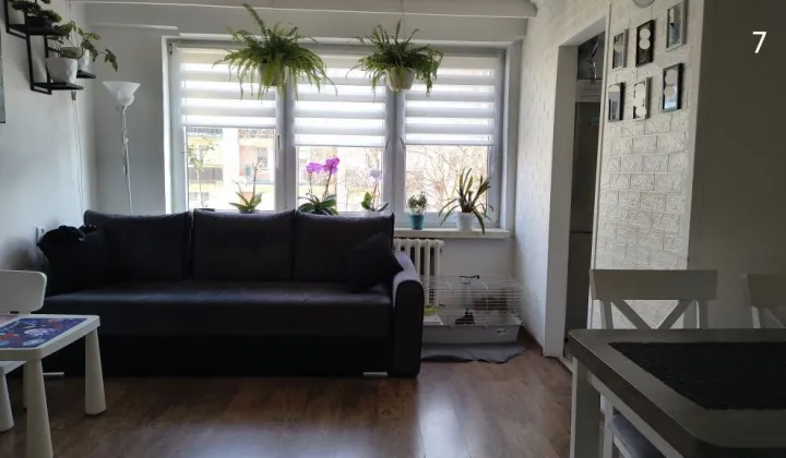 Mieszkanie 2-pokojowe Dębica, ul. Kościuszki