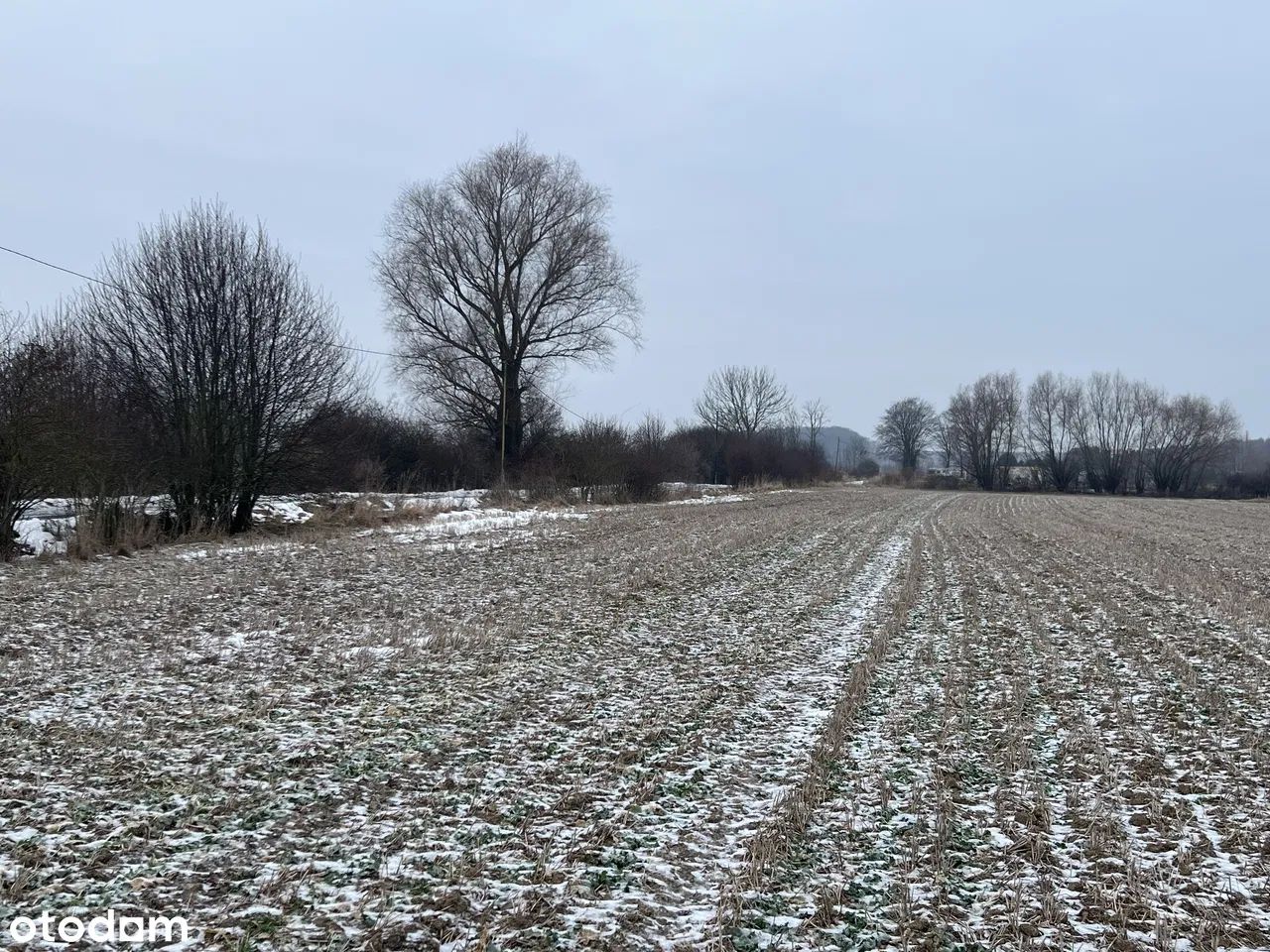 Działka budowlana Dobiesławiec. Zdjęcie 4