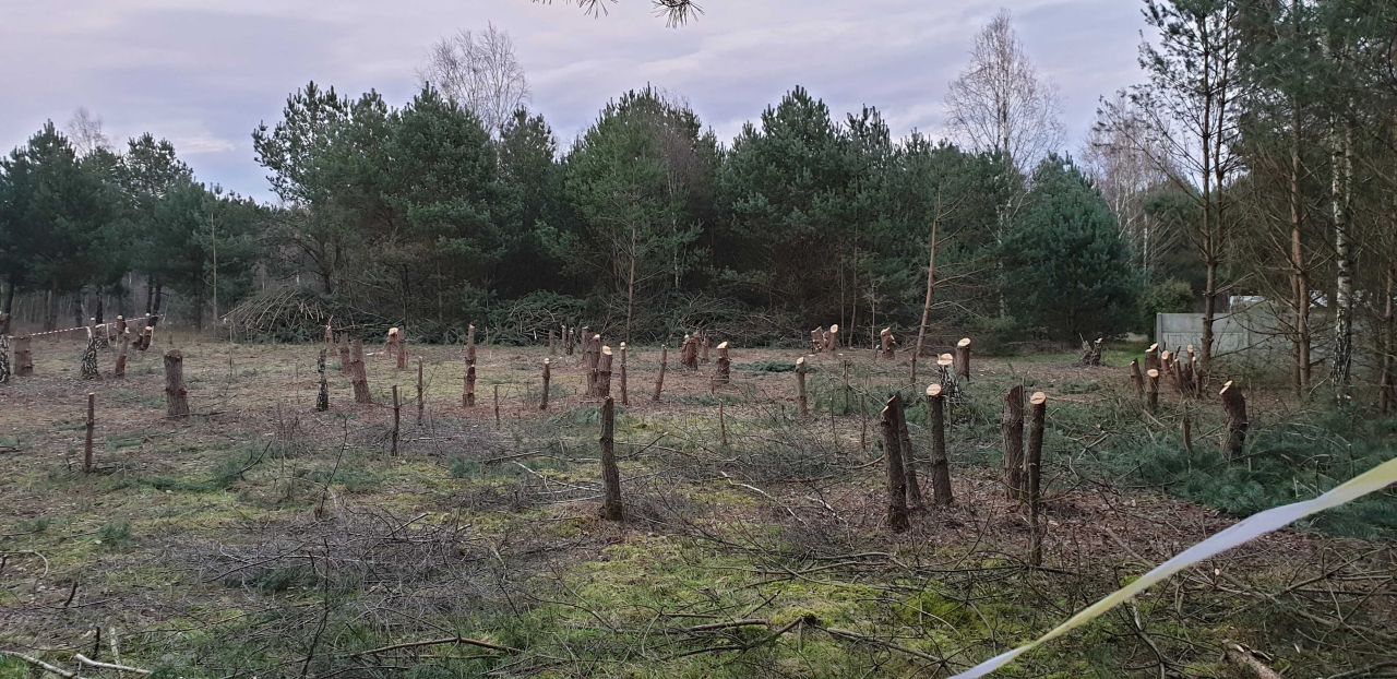 Działka budowlana Skórka. Zdjęcie 8