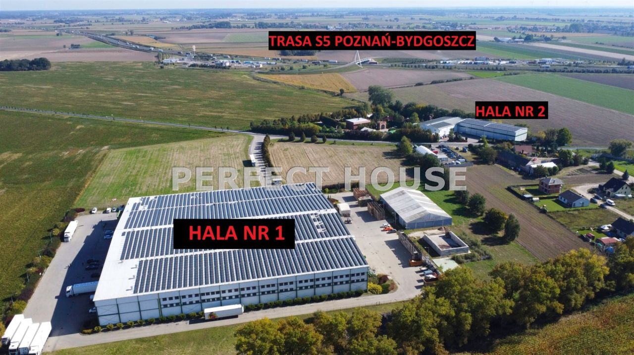 Hala/magazyn Trzek. Zdjęcie 4