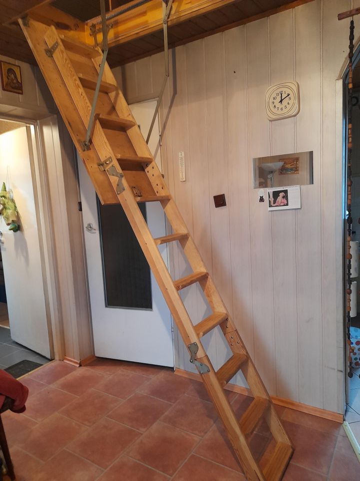 Działka rod Lisów, ul. Leśna. Zdjęcie 8