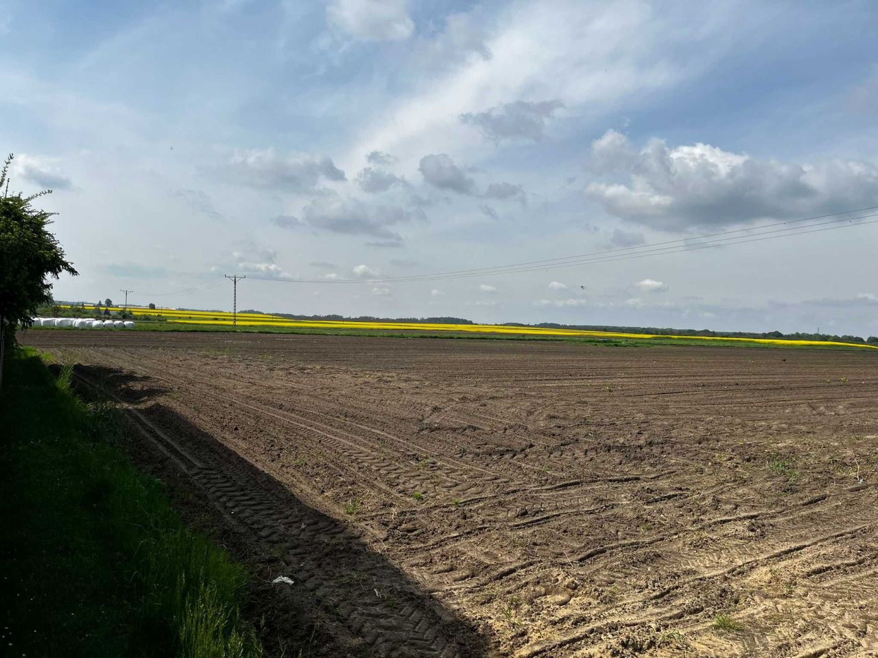 Działka rolna Laryszów. Zdjęcie 4