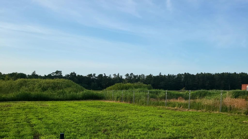 Działka rekreacyjna Ostrowo. Zdjęcie 1