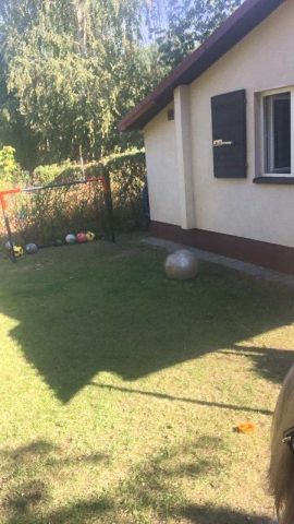 Działka rod Głosków, ul. Radnych. Zdjęcie 1