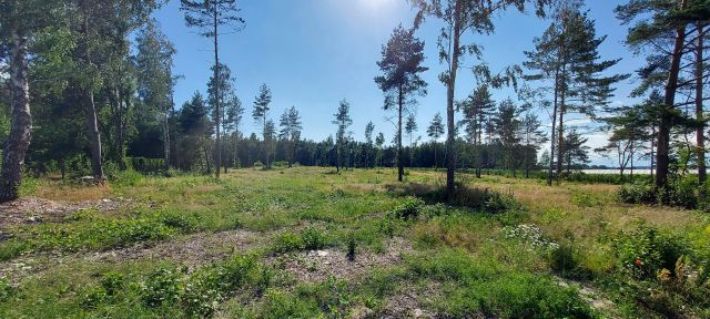 Działka rolna Lekarcice. Zdjęcie 1