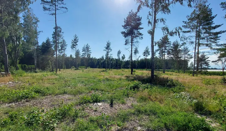 Działka rolna Lekarcice