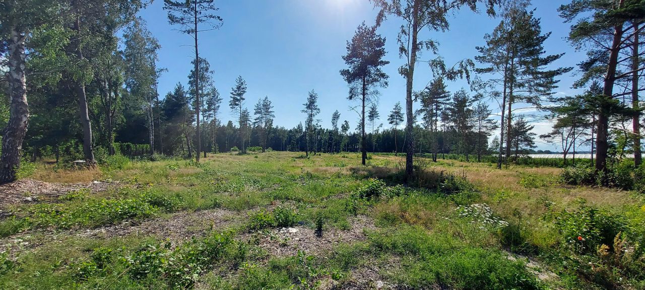 Działka rolna Lekarcice