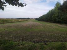 Działka rolno-budowlana Urzędów, ul. Spacerowa. Zdjęcie 1