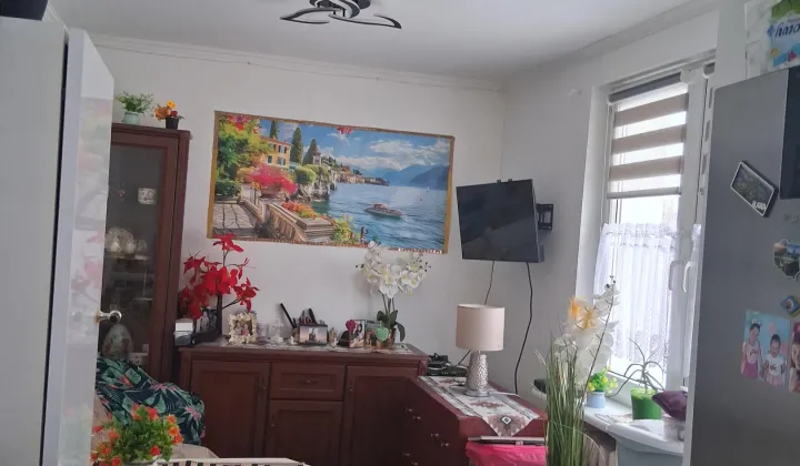 Mieszkanie 1-pokojowe Dobrocin