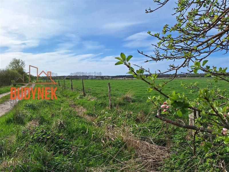 Działka budowlana Żukowo Morskie. Zdjęcie 5