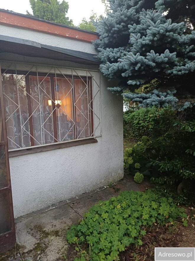 Działka rod Poznań. Zdjęcie 10