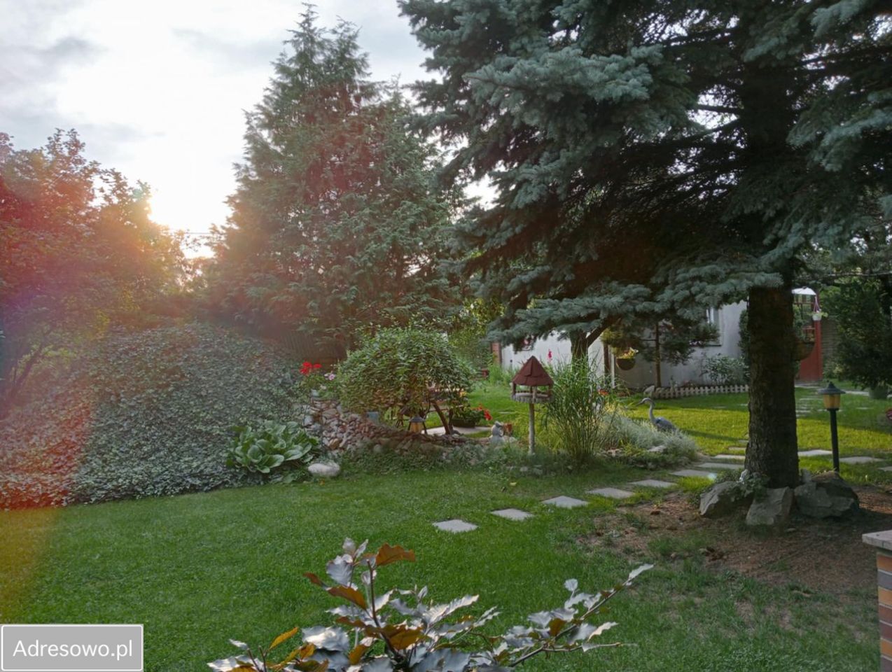 Działka budowlana Dziekanów Leśny. Zdjęcie 9