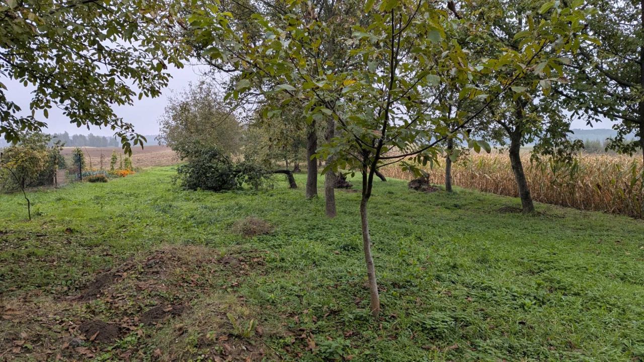 gospodarstwo Wacławice. Zdjęcie 7