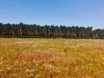 Działka budowlana Kalina