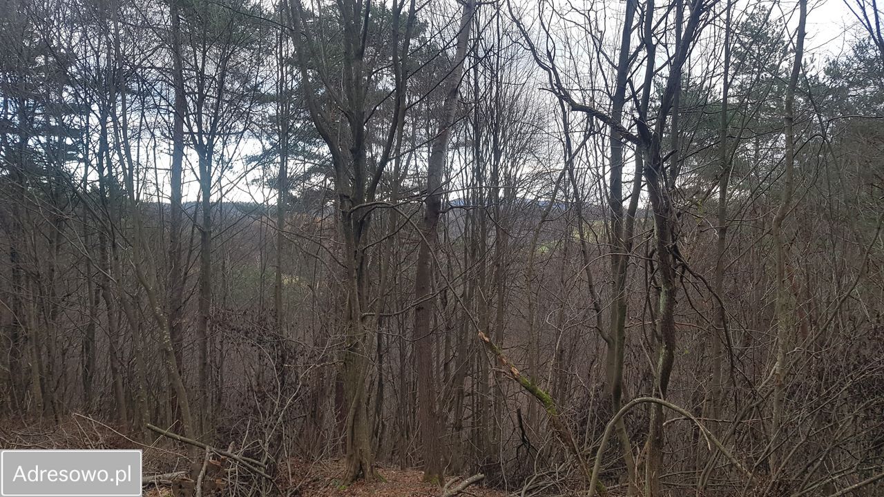 Działka inwestycyjna Bóbrka. Zdjęcie 5