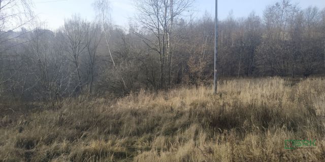 Działka Rybnik Niedobczyce, ul. Bolesława Śmiałego. Zdjęcie 3