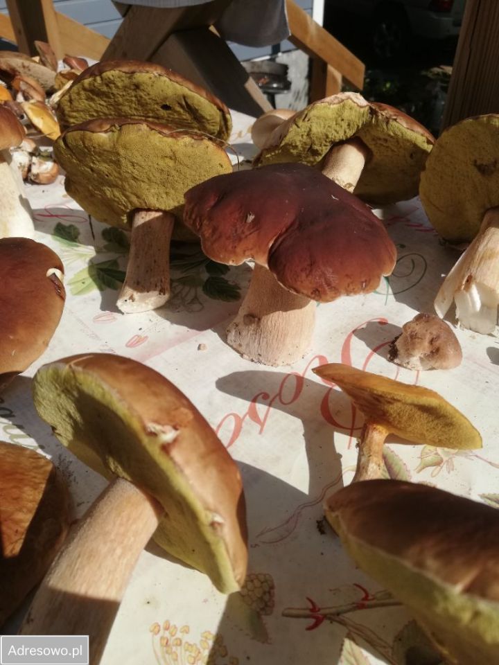 Działka budowlana Salinko, ul. Srebrna. Zdjęcie 13