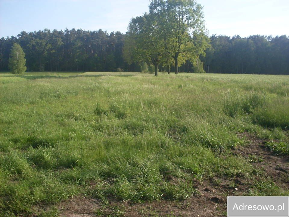 Działka rolna Raszków. Zdjęcie 7