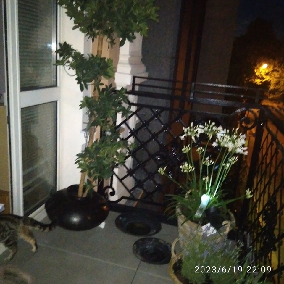 Mieszkanie 4-pokojowe Opole Stare Miasto, ul. ks. Hugona Kołłątaja. Zdjęcie 8