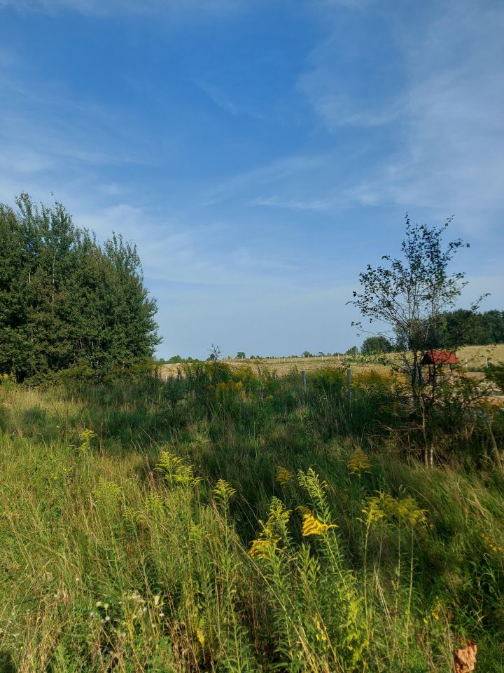 Działka rolno-budowlana Marcinkowo. Zdjęcie 2