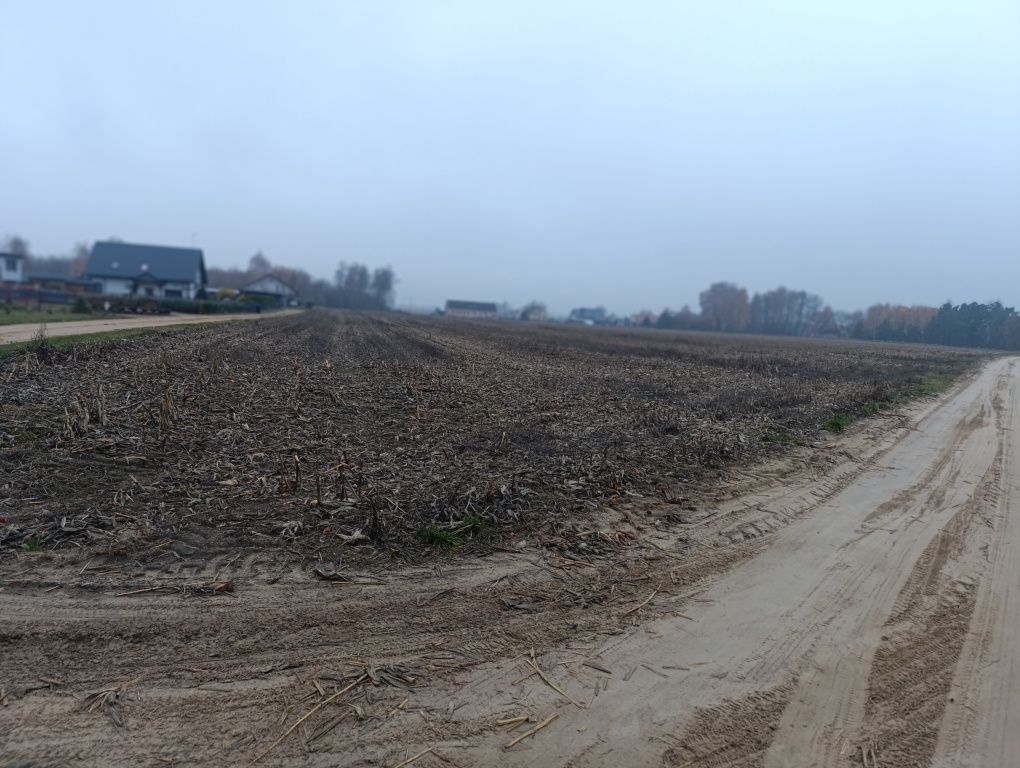 Działka rolno-budowlana Słoszewo-Kolonia. Zdjęcie 6