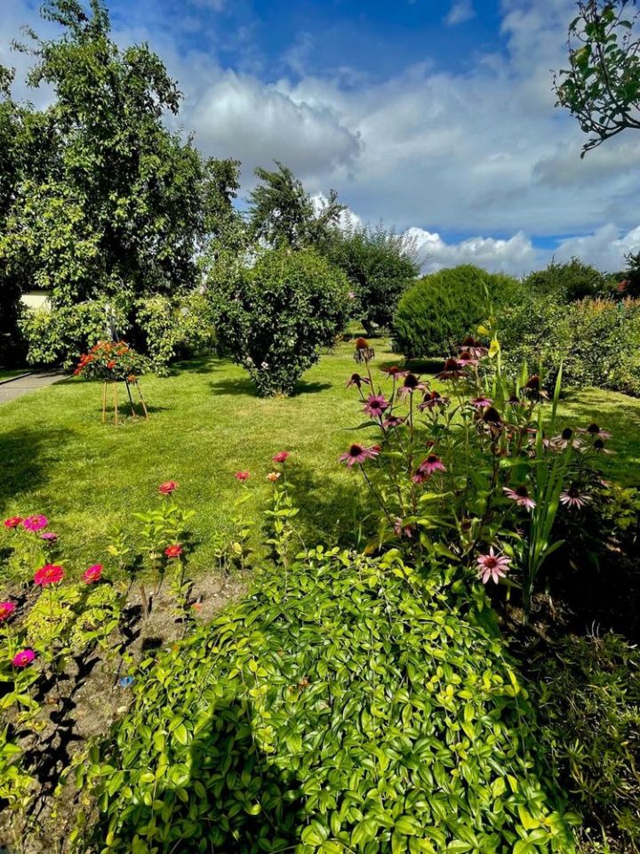 Działka rod Stargard, ul. Gdańska. Zdjęcie 3