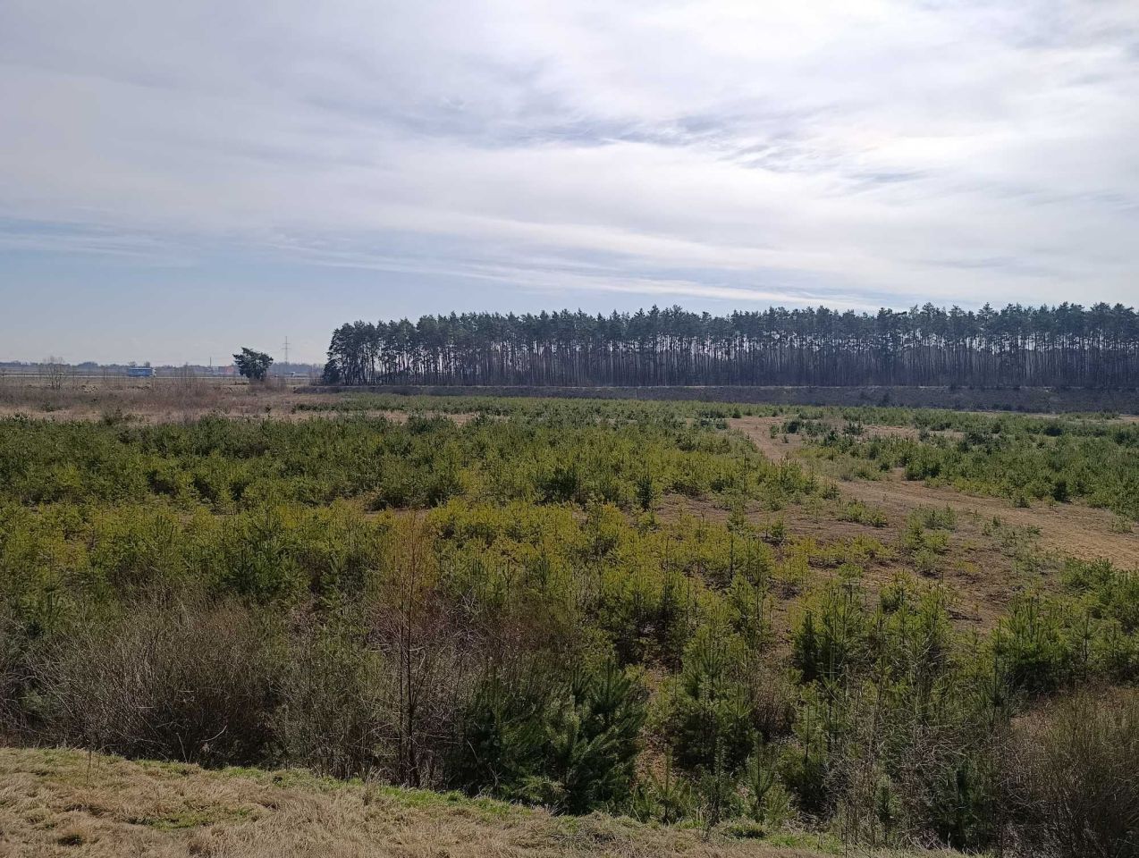 Działka inwestycyjna Mórkowo. Zdjęcie 3